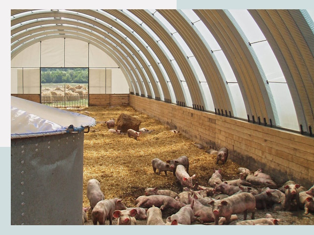 Строительство свинарников в Рузаевке